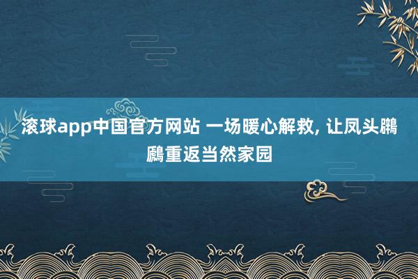 滚球app中国官方网站 一场暖心解救, 让凤头鸊鷉重返当然家园