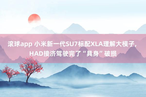 滚球app 小米新一代SU7标配XLA理解大模子, HAD接济驾驶完了“具身”破损