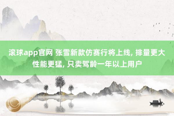 滚球app官网 张雪新款仿赛行将上线， 排量更大性能更猛， 只卖驾龄一年以上用户