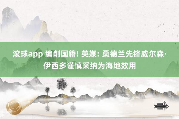 滚球app 编削国籍! 英媒: 桑德兰先锋威尔森·伊西多谨慎采纳为海地效用