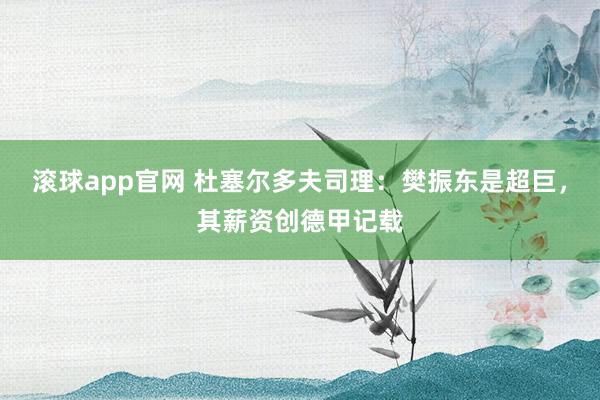 滚球app官网 杜塞尔多夫司理：樊振东是超巨，其薪资创德甲记载