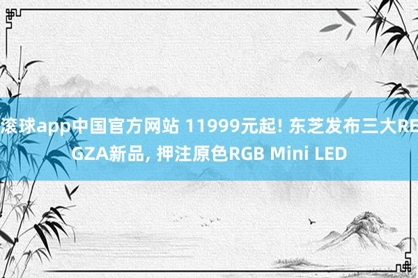 滚球app中国官方网站 11999元起! 东芝发布三大REGZA新品, 押注原色RGB Mini LED