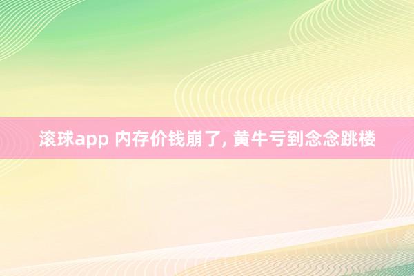 滚球app 内存价钱崩了, 黄牛亏到念念跳楼