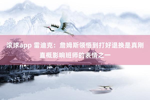 滚球app 雷迪克：詹姆斯领悟到打好退换是真刚直概影响班师的表情之一