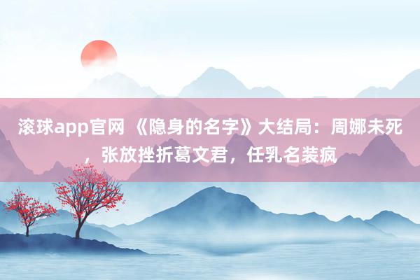 滚球app官网 《隐身的名字》大结局：周娜未死，张放挫折葛文君，任乳名装疯
