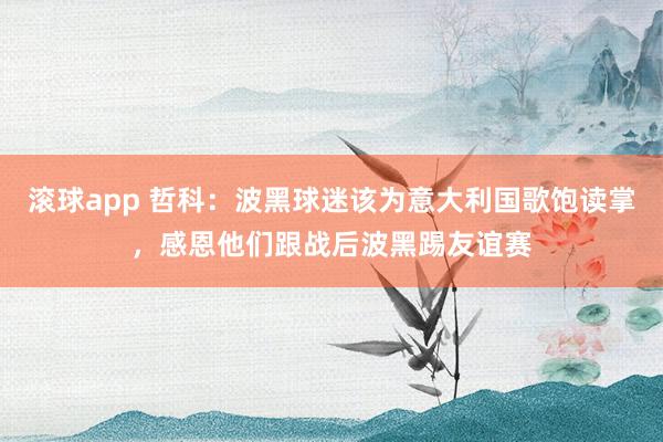 滚球app 哲科：波黑球迷该为意大利国歌饱读掌，感恩他们跟战后波黑踢友谊赛