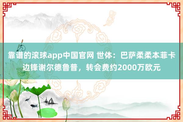 靠谱的滚球app中国官网 世体：巴萨柔柔本菲卡边锋谢尔德鲁普，转会费约2000万欧元