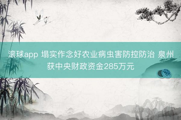 滚球app 塌实作念好农业病虫害防控防治 泉州获中央财政资金285万元