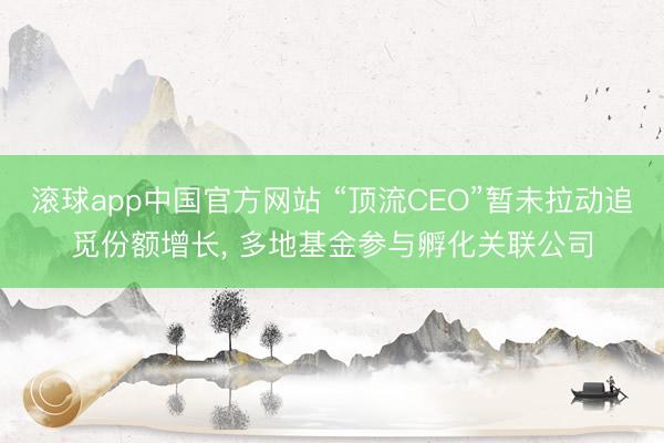 滚球app中国官方网站 “顶流CEO”暂未拉动追觅份额增长， 多地基金参与孵化关联公司