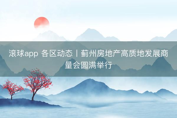 滚球app 各区动态丨蓟州房地产高质地发展商量会圆满举行