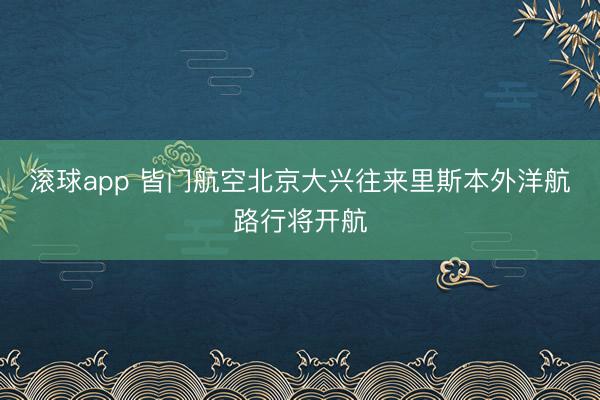 滚球app 皆门航空北京大兴往来里斯本外洋航路行将开航