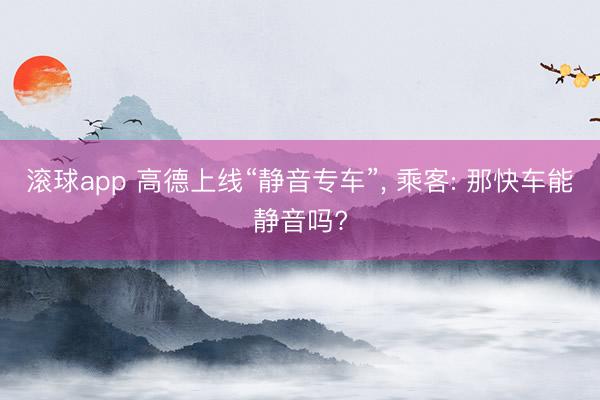 滚球app 高德上线“静音专车”， 乘客: 那快车能静音吗?