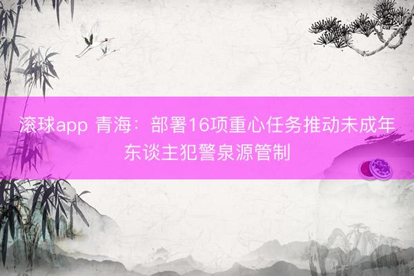 滚球app 青海：部署16项重心任务推动未成年东谈主犯警泉源管制