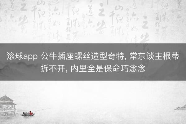 滚球app 公牛插座螺丝造型奇特， 常东谈主根蒂拆不开， 内里全是保命巧念念