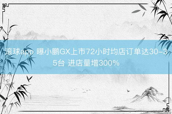 滚球app 曝小鹏GX上市72小时均店订单达30-35台 进店量增300%