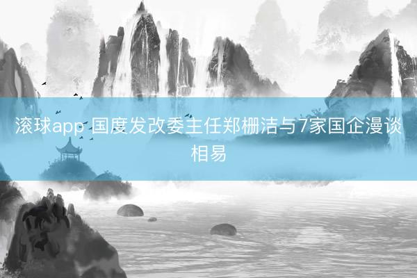 滚球app 国度发改委主任郑栅洁与7家国企漫谈相易