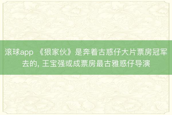 滚球app 《狠家伙》是奔着古惑仔大片票房冠军去的， 王宝强或成票房最古雅惑仔导演