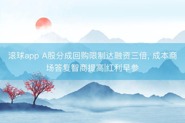 滚球app A股分成回购限制达融资三倍, 成本商场答复智商提高|红利早参
