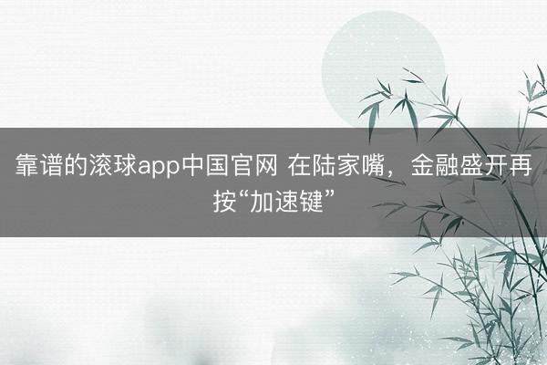 靠谱的滚球app中国官网 在陆家嘴，金融盛开再按“加速键”
